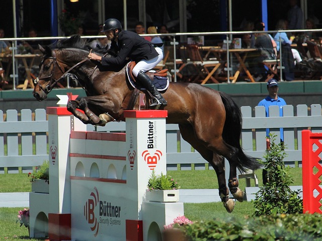 申真谞延续 申真谞延续