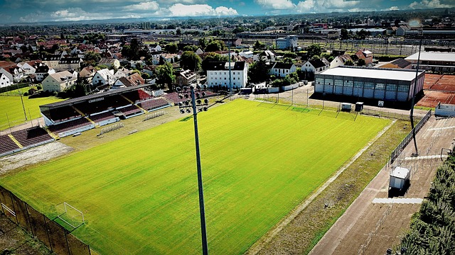 而明星球员 而明星球员