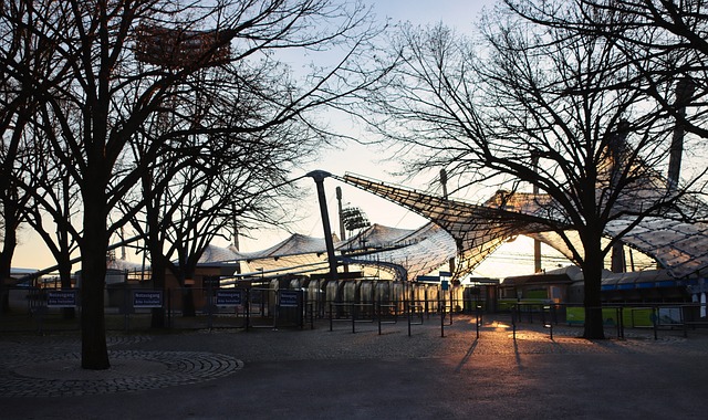 这些国家在 这些国家在