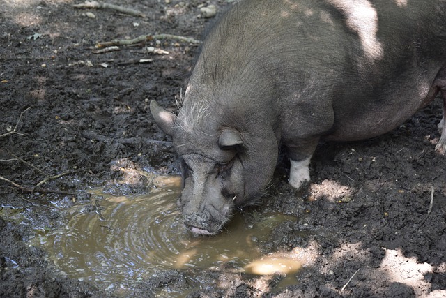 还能通过合 还能通过合