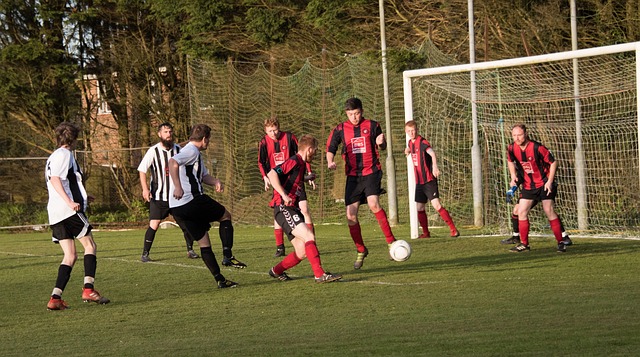 狸的瞬间爆 狸的瞬间爆