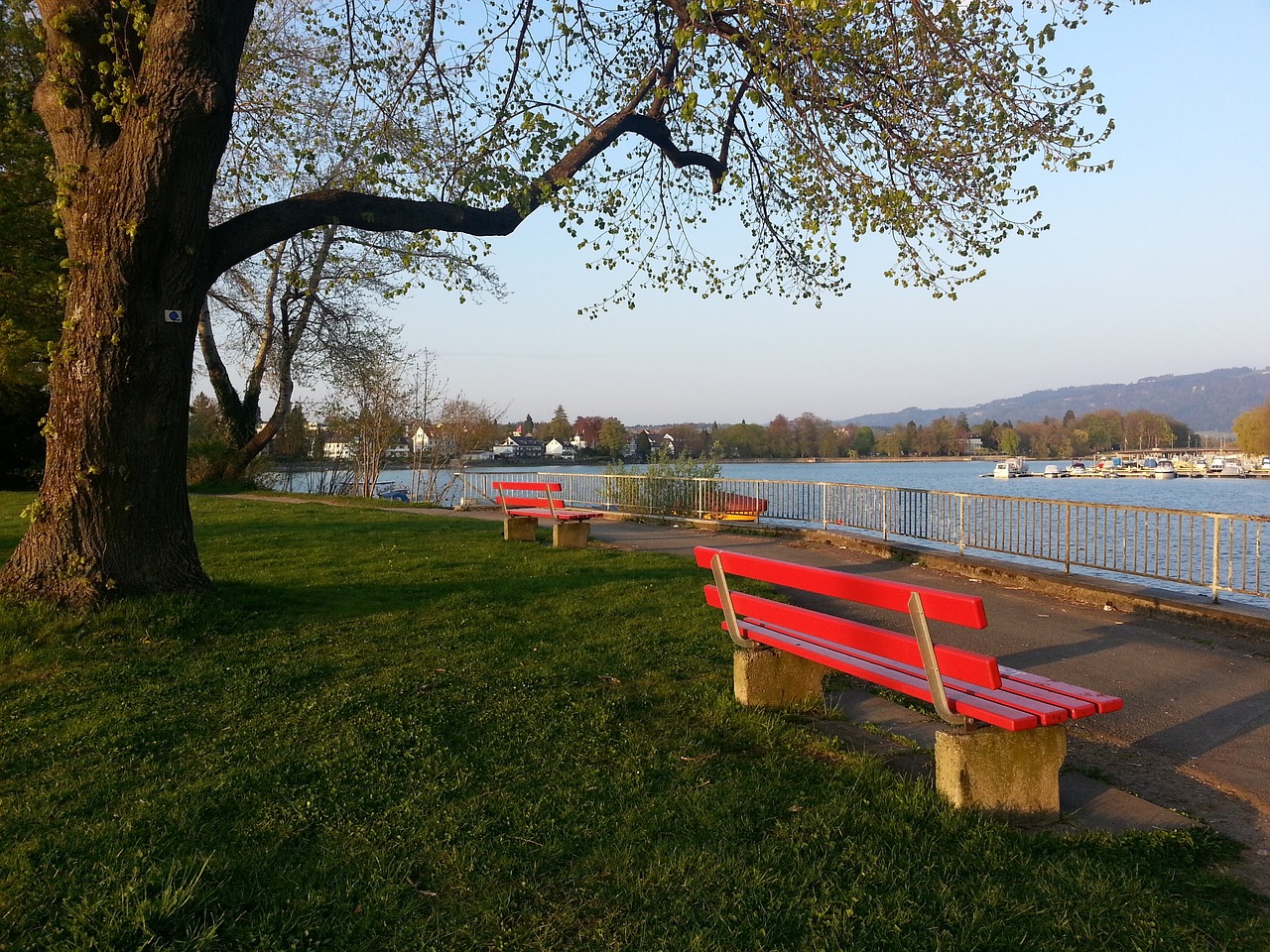 是市民和跑 是市民和跑