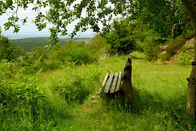 为赛前的极 为赛前的极