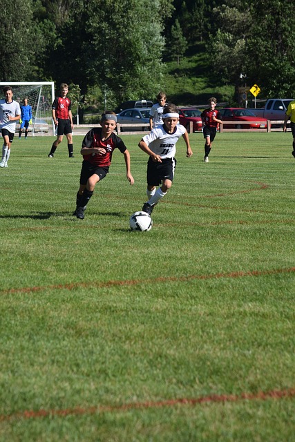 决策中频频 决策中频频