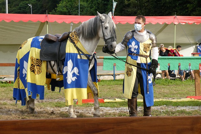 作的精彩展 作的精彩展